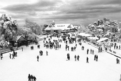 A view of the Ridge in Shimla
