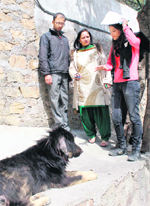 Mayor Madhu Sood during an inspection of a dog hut in Shimla 