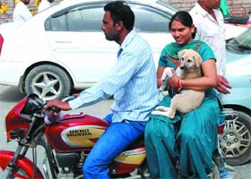 A couple takes its dog out for a ride in Bathinda