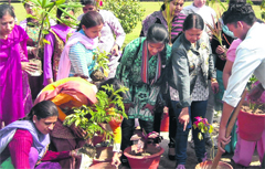 Students of PKR Jain College of Education, Ambala, plant saplings on the premises of the institution.