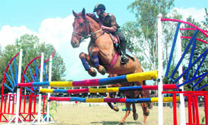 A rider at a horse riding competition at the RIMC annual function in Dehradun 