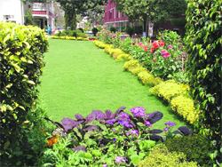 A garden of KVM School that won the first prize