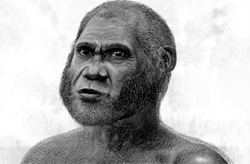 The red deer people had a distinctive anatomy that could characterise an entirely new human species