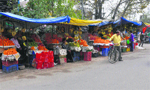 A view of roadside encroachments in a market at Bishnah, Jammu. 