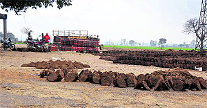 LPG cylinders may be the modern kitchen fuel, still cow dung has not lost its relevance