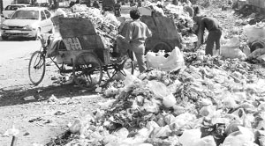 Garbage dumped on the roadside at Phase VI of Mohali.