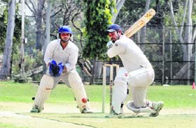 A player in action at the 60th Dehradun District Cricklet League Tournament played at OFD ground in Dehradun on Sunday