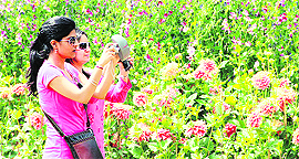 Girls click photographs during the annual flower show at Jawahar Garden at Jalandhar Cantonment on Sunday.
