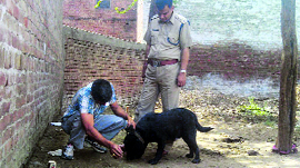 A sniffer dog looks for clues at Mandhothi village in Jhajjar district on Monday.