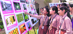 Students take a look at the photographs during an exhibition named Eye of the Camera organised at St Soldier Management and Technical Institute 