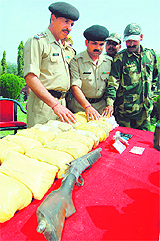 BSF officials display the contraband and arms seized from slain Pakistani smugglers near Tarn Taran on Monday.