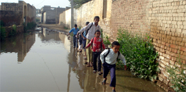 The stagnant water and the damaged sewage disposal system have become an ordeal for people in Abohar sub-division. Photo by writer