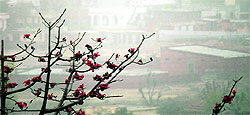 Visibility was affected due to the duststorm in Jammu on Tuesday