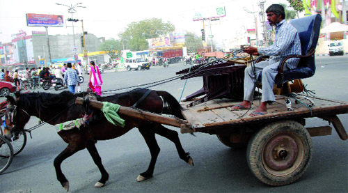 A horse cart driver ferries furniture near the Hanuman Chowk in Bathinda. 