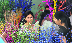 A girl takes a look at artificial flowers on the concluding day of Saras Mela in Ludhiana.