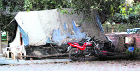 A tent pitched outside the residence of an official in the green belt in Sector 19, Chandigarh.