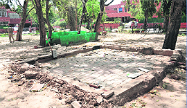 A green belt at sector 24 A, Chandigarh, from where ITBP personnel sifted their tents late night after the court orders on Friday. 