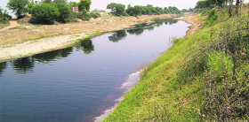 A view of the highly polluted Ghaggar near Sirsa.