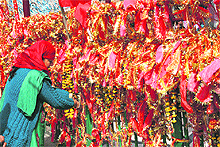 A devotee does pooja at the Bawe Wali Mata temple on the first day of Navaratras in Jammu on Friday. 