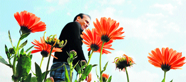 Flowers in full bloom at a garden of Government Science College in Jammu.