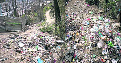 The nullah filled with garbage in Doda.