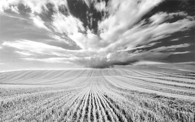 Scientists view GM technology as a way of extending the successful Green Revolution of the late 20th century into the 21st century.