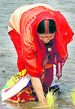 A woman immerses flowers and pooja material into the Tawi