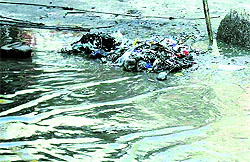 Stagnant sewage in the Patel Nagar locality, Jagraon