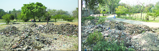 Debris dumped around Leisure Valley at Burlton Park is a nuisance for morning walkers. 
