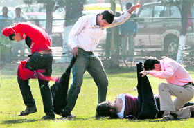 Three boys try to save a girl from stinging bees in Chandigarh.