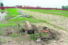 An unauthorised colony being developed at the Haibowal locality near Ludhiana.