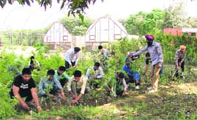 Students attend a horticulture supervisor training class at Punjab Agricultural University in Ludhiana on Tuesday