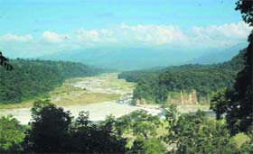 The Namdapha Reserve in Arunachal Pradesh