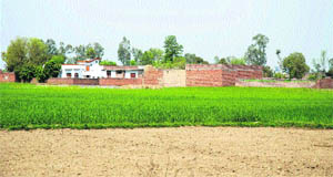 Farm land being used for non-agricultural purposes in Jammu. 