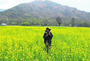 A lad carries a lamb on his back as he makes his way through a mustard field in full bloom in a village of Pulwama district in north Kashmir. 