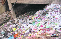 A view of the 'choked' Ganda Nullah near Bhadaur House in Ludhiana on Wednesday.