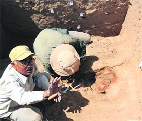 An Indo-UK team of archaeologists excavates a site at Khalsa Bohla village in Karnal on Thursday.