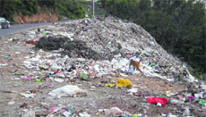 Heaps of garbage along the Reasi-Katra road.