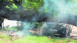 Garbage being burnt at the Company Bagh in Amritsar on Saturday.