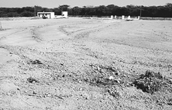 The site of grain market waiting for development at Saidpura village in Dera Bassi.