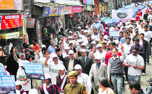 Members of the Citizens for Annandale, along with MP Anurag Thakur, take part in a rally in Shimla on Saturday. 