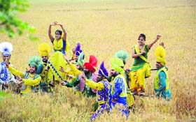 A group of dancers perform bhangra in the fields in Ludhiana on Saturday