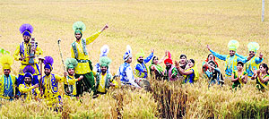 A group of dancers performs in a wheat field ahead of the Baisakhi festival in Ludhiana on Saturday