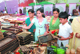 Visitors look for items at the handicraft fair held at Chhabra Palace that concluded on Sunday. 