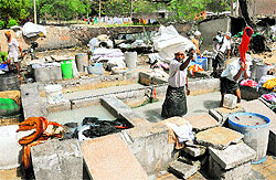 The view of a dhobi ghat at Sector 7, Chandigarh. Basic facilities such as toilets for workers are non-existent there