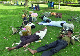 Vendors take a nap under trees at the India Gate Lawn as the temperature soared in New Delhi on Monday.