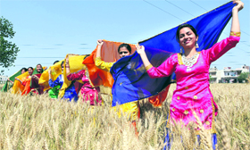 Students of St Soldier School perfom giddha in a ripe wheat field ahead of Baisakhi in Jalandhar on Wednesday.