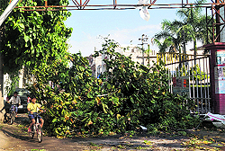 A tree blocks a gate at the PCA Stadium, Phase 10, Mohali, on Thursday