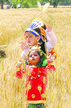 Tiny tots of Maple Bear School perform bhangra amid ready wheat crop ahead of Baisakhi.