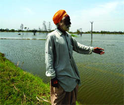 A farmer shows his water-logged fields at Mann village in Muktsar district